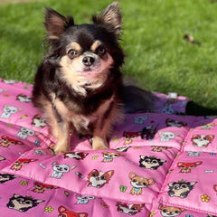 Roll and Go Signature Collection Padded Chihuahua Print Travel Mat by My Chi and Me