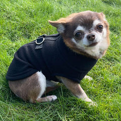 Step In Zipped Chihuahua or Small Dog Fleece Jumper with D Rings For Leash Black