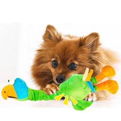 Super Soft Parrot Medium Squeaky Dog Toy