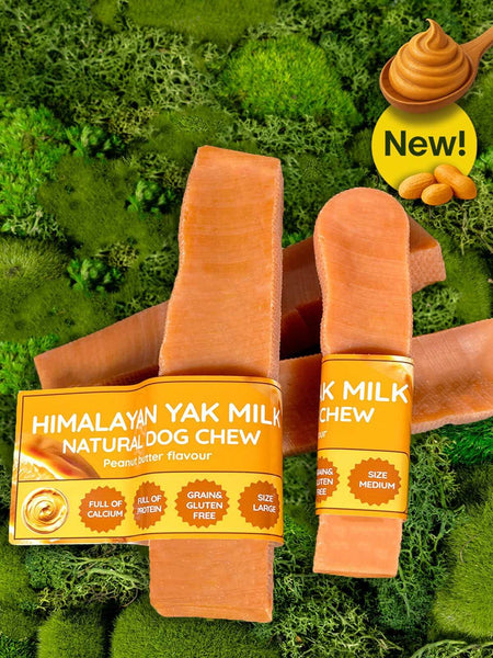 Peanut Butter Yak Dog Chew – My Chi and Me