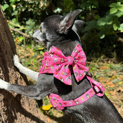 Signature Chihuahua Print Exclusive Small Sailor Bow by My Chi and Me