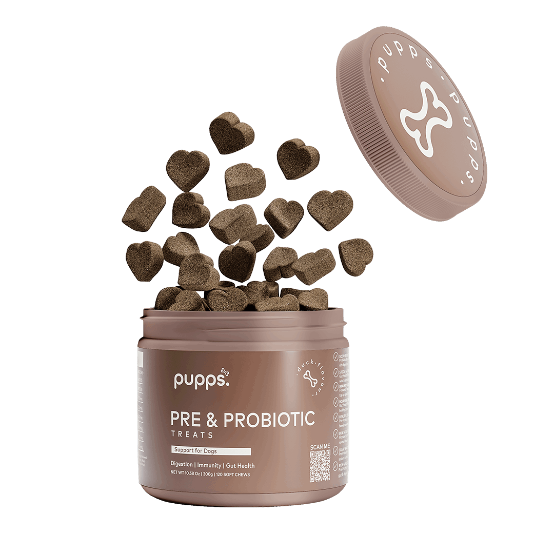 Pre & Probiotic Treats