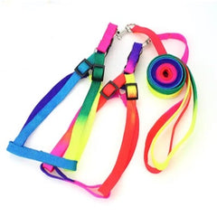 Super Value Pride Rainbow Webbing Puppy Small Dog Harness and Lead Set