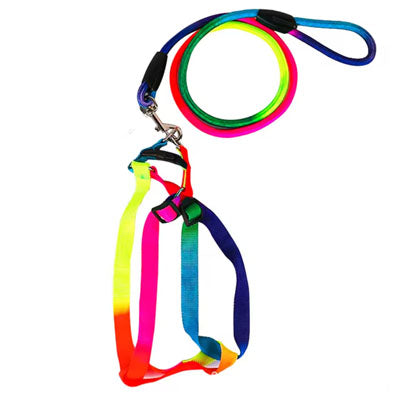 Tiny Trainer Premium Rainbow Pride Webbing Harness and Weave Dog Lead Set