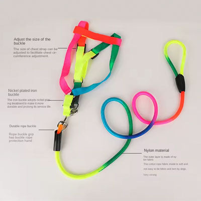 Tiny Trainer Premium Rainbow Pride Webbing Harness and Weave Dog Lead Set