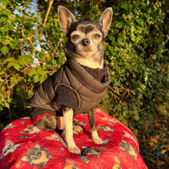 Chihuahua Print Warm red Soft Cosy Fleece Blanket by My Chi and Me