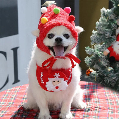 Christmas Hats and Bibs for Small Dogs
