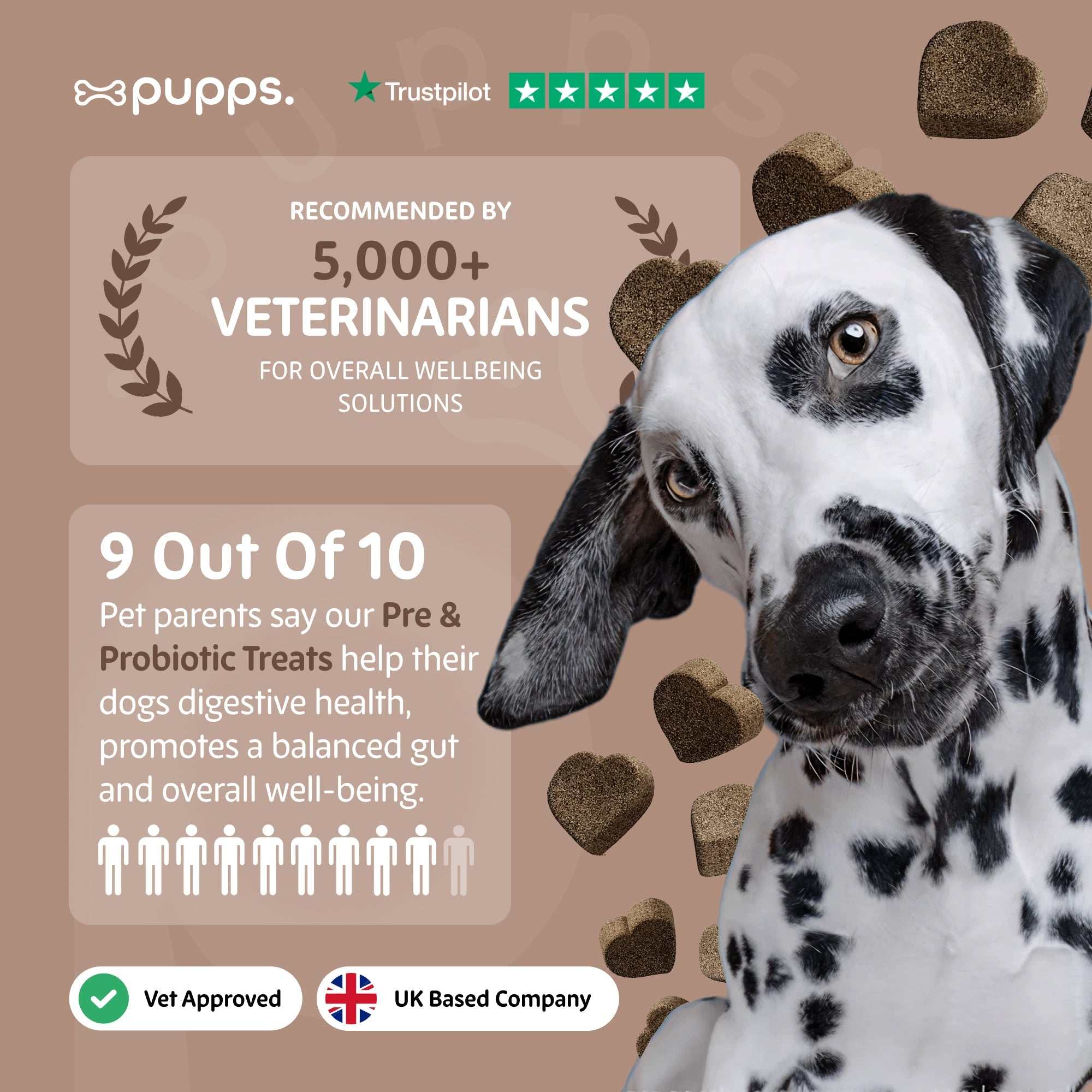 Pre & Probiotic Treats