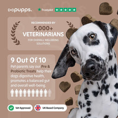 Pre & Probiotic Treats