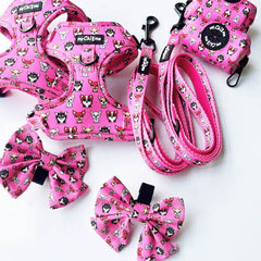 Signature Chihuahua Print Exclusive Small Dog Harness by My Chi and Me