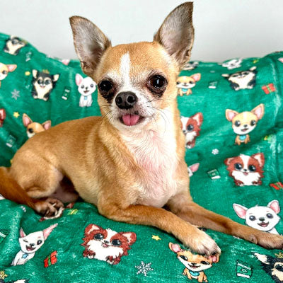 Chihuahua Print Spruce Green Soft Cosy Fleece Blanket by My Chi and Me