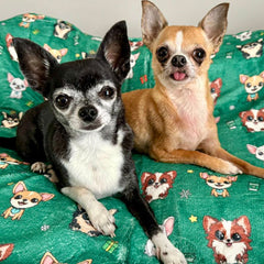 Chihuahua Print Spruce Green Soft Cosy Fleece Blanket by My Chi and Me