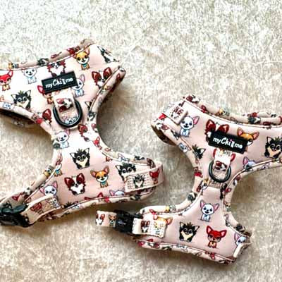 Stone Chihuahua Print Exclusive Designer Harness by My Chi and Me