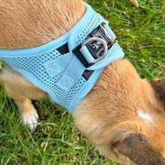 Tiny Trails Step In Air Mesh Puppy and Small Dog Harness Baby Blue