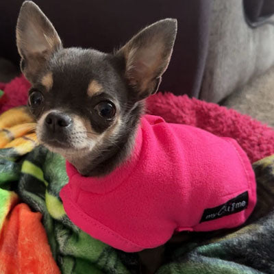 Tiny Toastie Water Repellent Fleece Chihuahua or Dog Coat by My Chi and Me Hot Pink