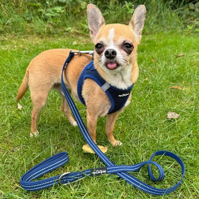 Tiny Trails Step In Air Mesh Puppy and Small Dog Harness Navy