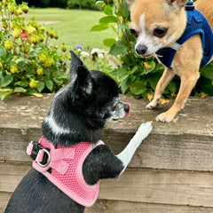 Tiny Trails Step In Air Mesh Puppy and Small Dog Harness Pink