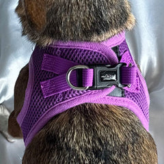 Tiny Trails Step In Air Mesh Puppy and Small Dog Harness Purple