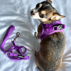 Tiny Trails Step In Air Mesh Puppy and Small Dog Harness Purple