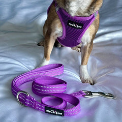 Tiny Trails Step In Air Mesh Puppy and Small Dog Harness Purple