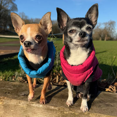 Lightweight Gilet Style Chihuahua or Small Dog Puffa Coat Pink