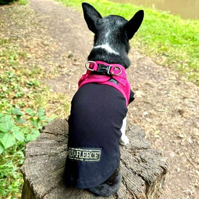 Tiny Trails Step In Air Mesh Puppy and Small Dog Harness Hot Pink