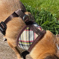 My Pup and Me Brown Tartan Harness