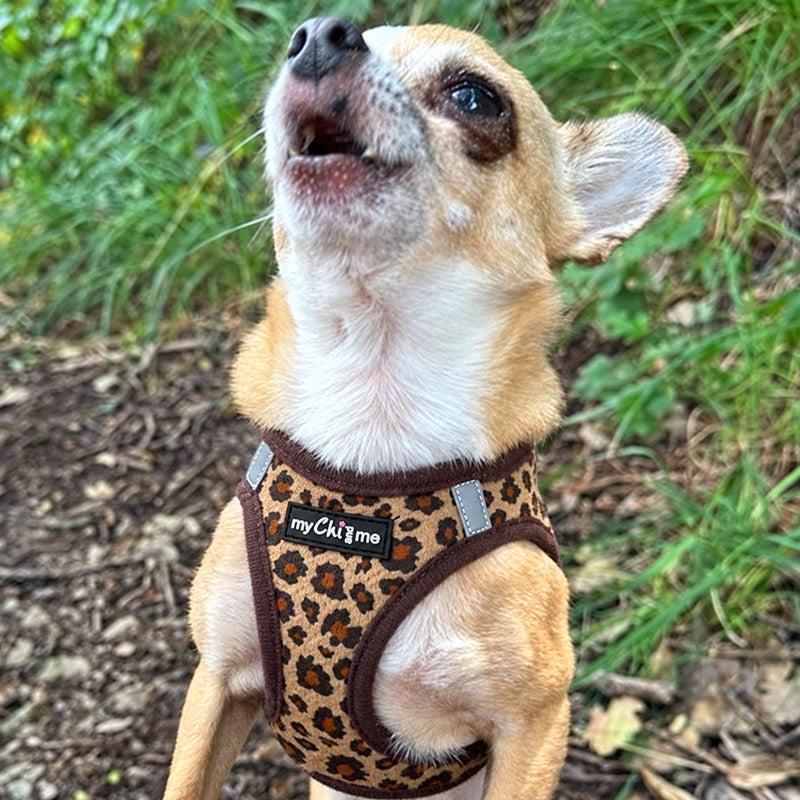 Lightweight Tiny Trails Step In  Luxury Leopard Puppy and Small Dog Harness