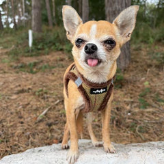 Tiny Trails Step In Country Green Tweed Fur Lined Puppy and Small Dog Harness