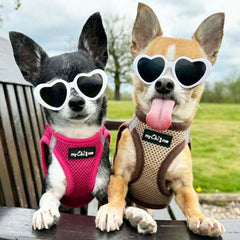 Tiny Trails Step In Air Mesh Puppy and Small Dog Harness Chocolate Caramel