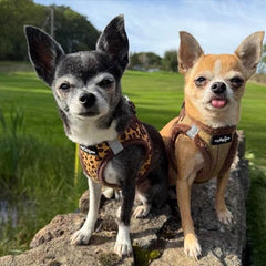 Tiny Trails Step In Country Green Tweed Fur Lined Puppy and Small Dog Harness by My Pup and Me