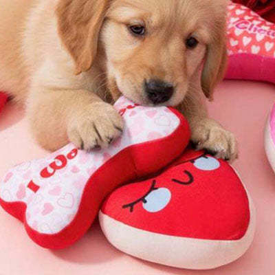 Valentines Plush Medium Sized Cuddle and Play Dog Toys