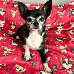 Chihuahua Print Warm Red Soft Cosy Fleece Blanket by My Chi and Me