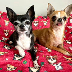 Chihuahua Print Warm Red Soft Cosy Fleece Blanket by My Chi and Me