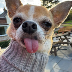 Small Dog Soft Cable Jumper Grey 6 Sizes