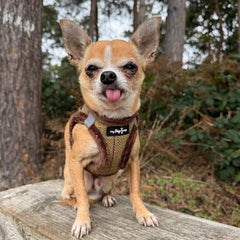 Tiny Trails Step In Country Green Tweed Fur Lined Puppy and Small Dog Harness by My Pup and Me