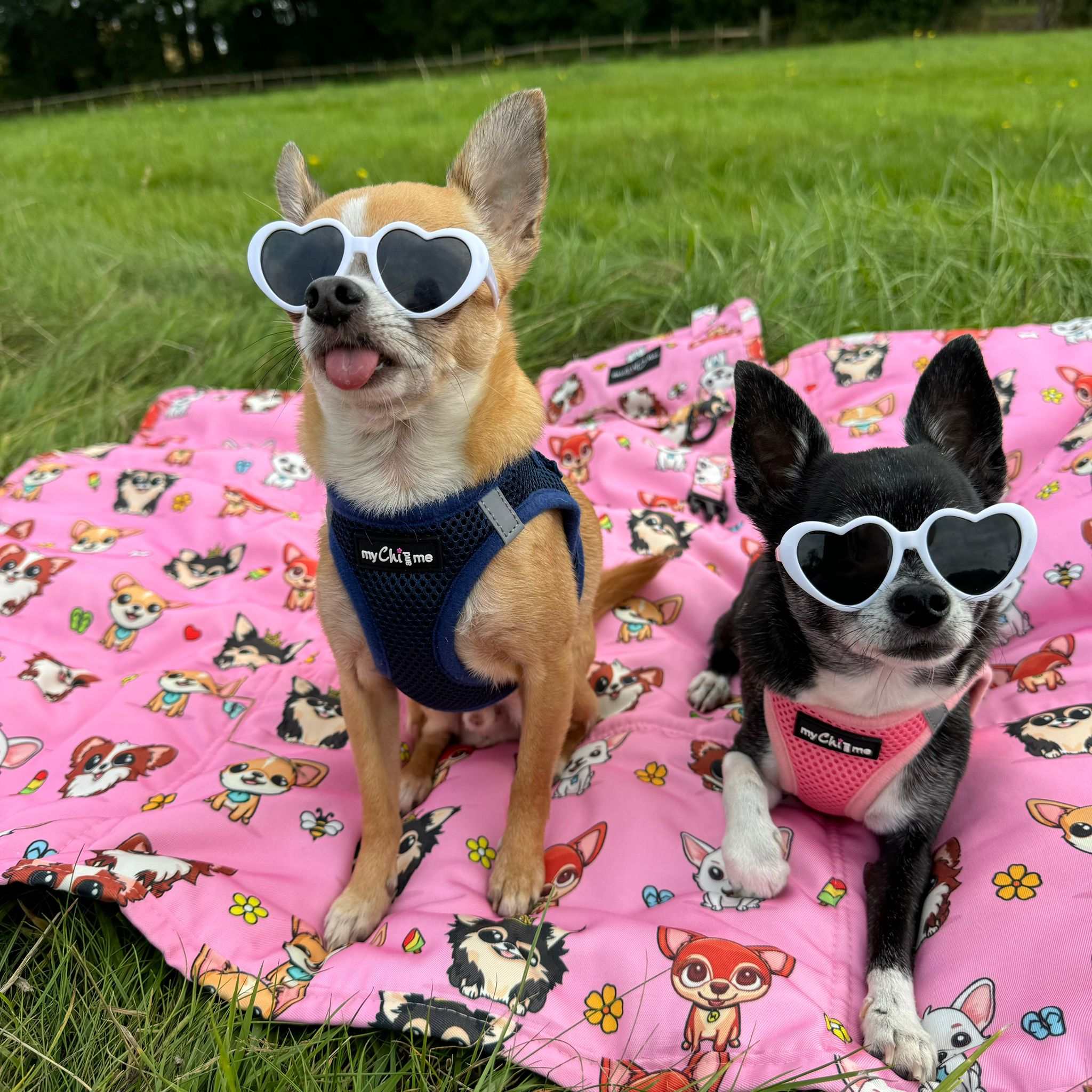 Tiny Trails Step In Air Mesh Puppy and Small Dog Harness Pink Navy