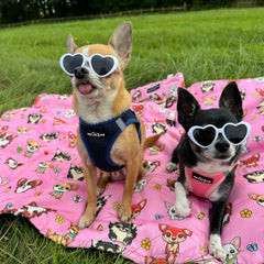 Tiny Trails Step In Air Mesh Puppy and Small Dog Harness Pink Navy