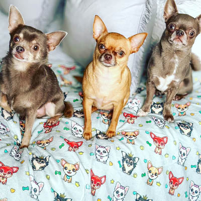 Chihuahua Print Willow Soft Cosy Fleece Blanket by My Chi and Me