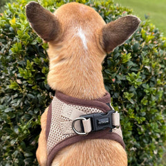Tiny Trails Step In Air Mesh Puppy and Small Dog Harness Chocolate Caramel