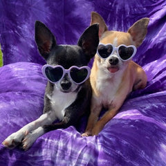 Heart Shaped Small Dog Sunglasses Lilac Bon Bon