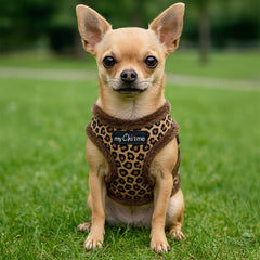 Tiny Trails Step In Luxury Leopard Puppy and Small Dog Harness