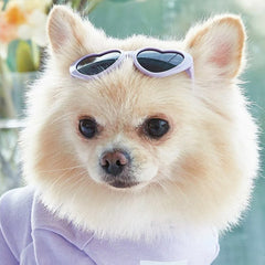 Heart Shaped Small Dog Sunglasses Lilac Bon Bon