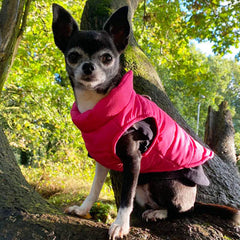 Lightweight Gilet Style Chihuahua or Small Dog Puffa Coat Hot Pink