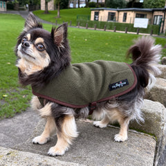 Tiny Toastie Water Repellent Fleece Dog Coat by My Pup and Me Hunter Green