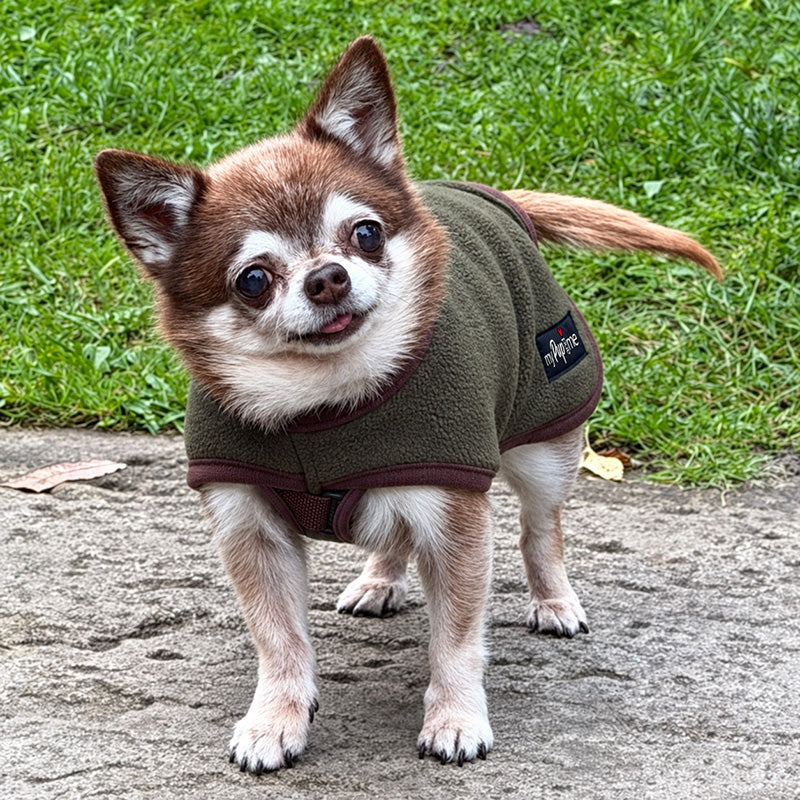 Tiny Toastie Water Repellent Fleece Dog Coat by My Pup and Me Hunter Green