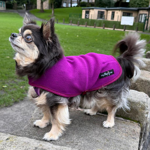 Tiny Toastie Water Repellent Fleece Dog Coat by My Pup and Me Berry Crush