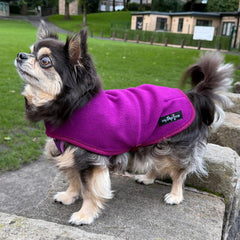 Tiny Toastie Water Repellent Fleece Dog Coat by My Pup and Me Berry Crush