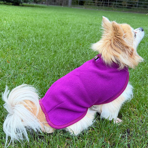 Tiny Toastie Water Repellent Fleece Dog Coat by My Pup and Me Berry Crush
