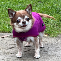 Tiny Toastie Water Repellent Fleece Dog Coat by My Pup and Me Berry Crush